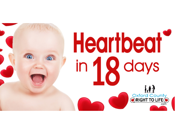 Heartbeat in 18 Days