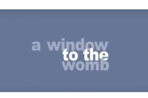 A Window to the Womb